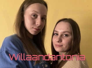 Willaandantonia