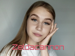 Zeldacannon